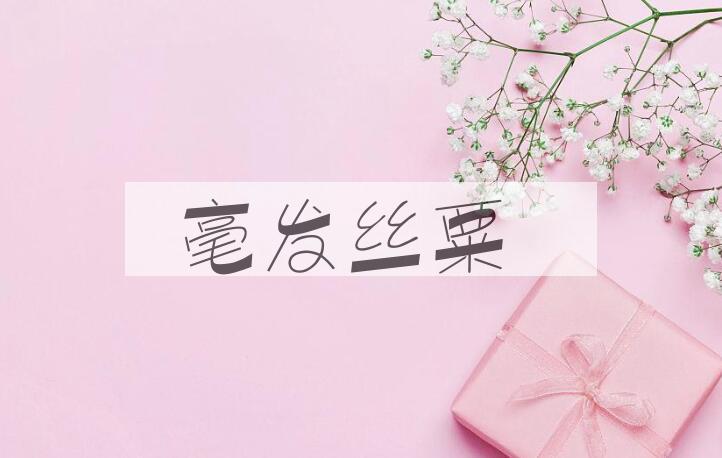 成语毫发丝粟是什么意思？