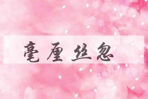 成语毫厘丝忽是什么意思？