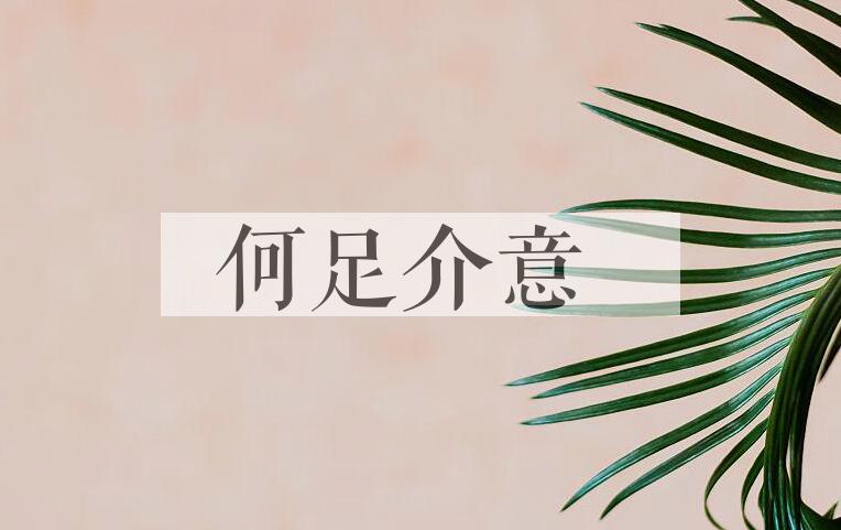 成语何足介意是什么意思？