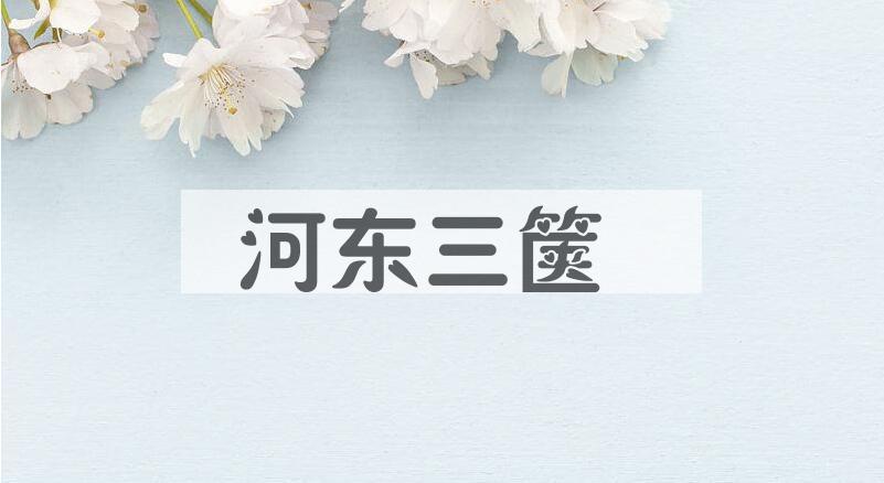 成语河东三箧是什么意思？