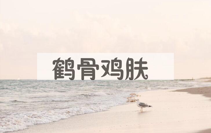 成语鹤骨鸡肤是什么意思？
