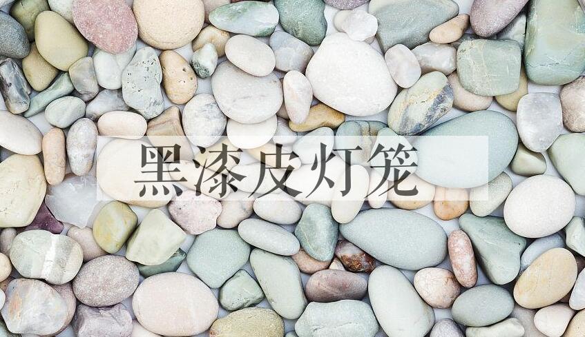成语黑漆皮灯笼是什么意思？