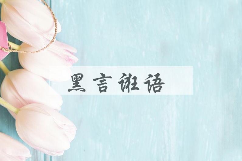 成语黑言诳语是什么意思？
