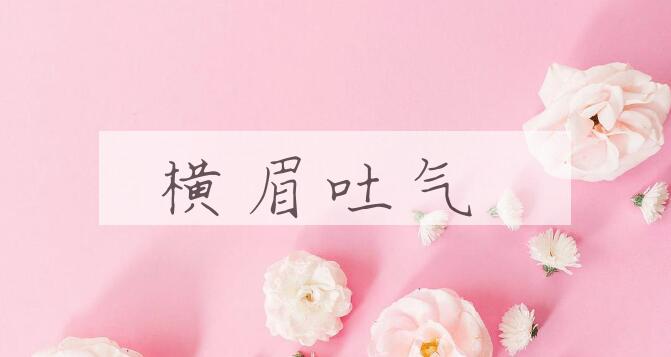 成语横眉吐气是什么意思？
