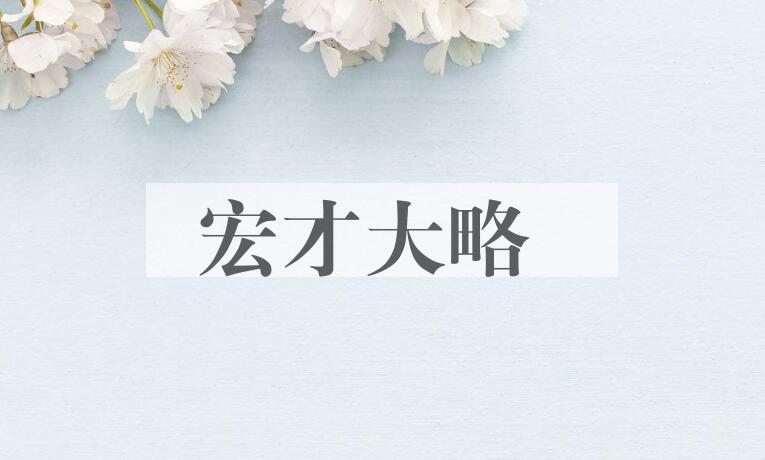 成语宏才大略是什么意思？