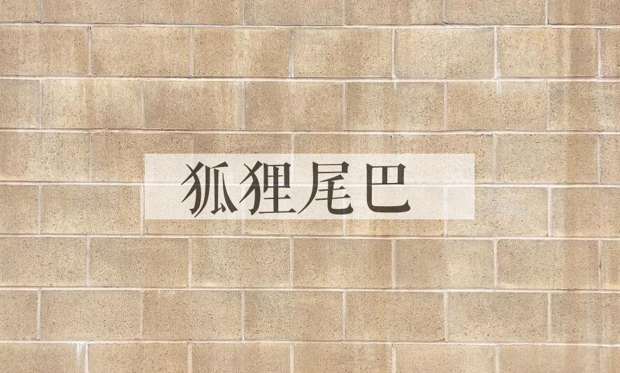 成语狐狸尾巴是什么意思？