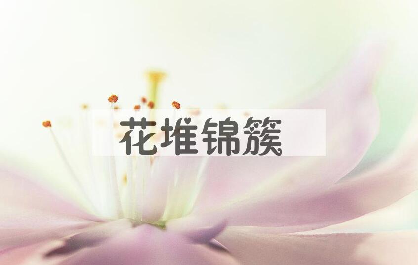 成语花堆锦簇是什么意思？
