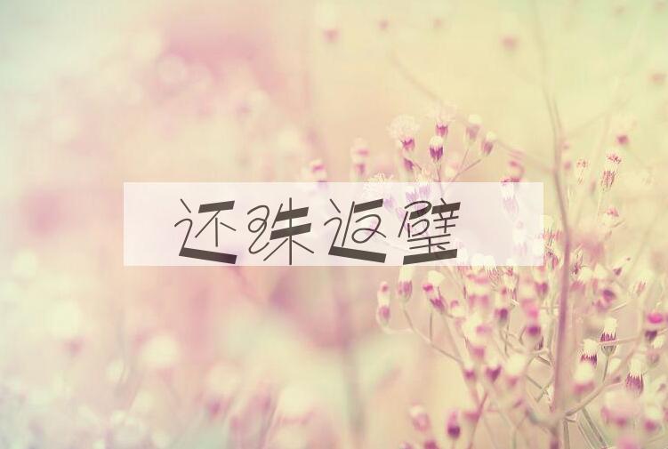 成语还珠返璧是什么意思？