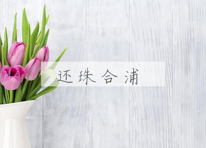 成语还珠合浦是什么意思？