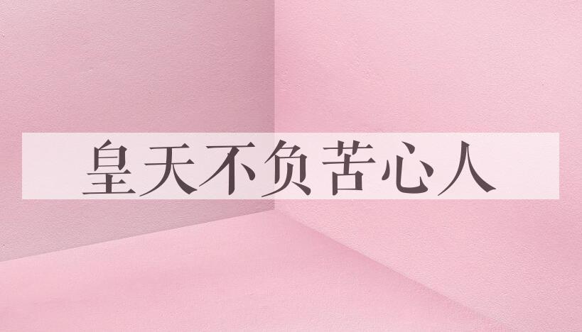 成语皇天不负苦心人是什么意思？