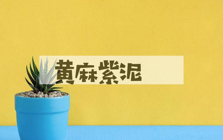 成语黄麻紫泥是什么意思？