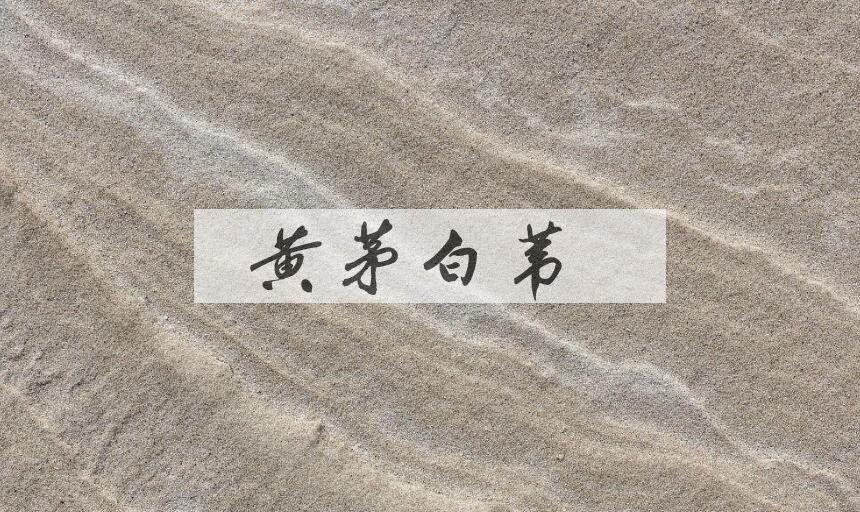 成语黄茅白苇是什么意思？