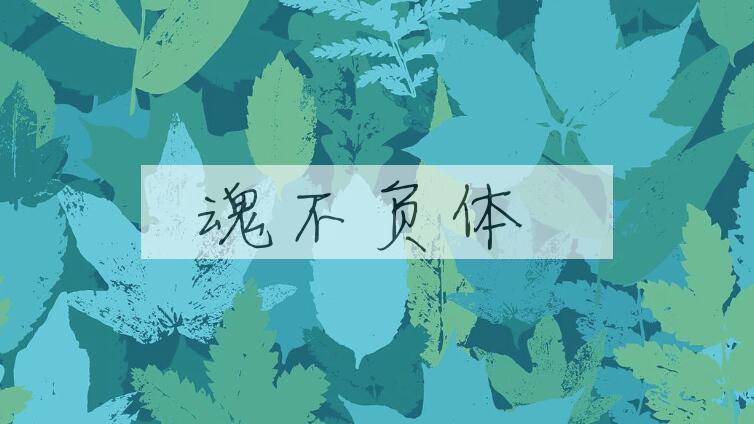 成语魂不负体是什么意思？