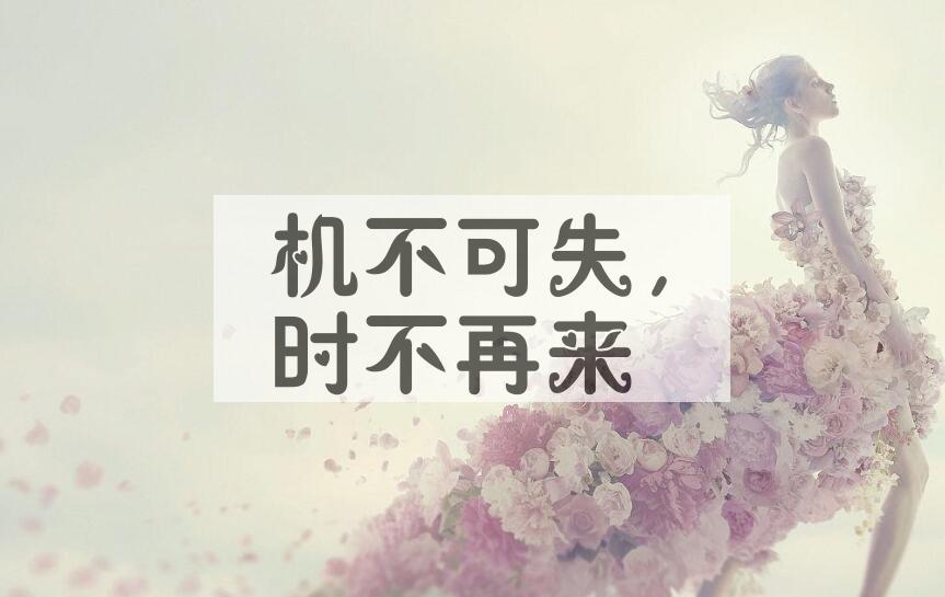 成语机不可失，时不再来是什么意思？