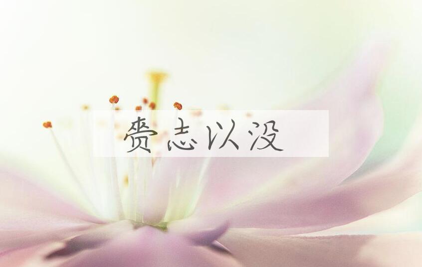 成语赍志以没是什么意思？