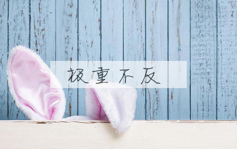 成语极重不反是什么意思？