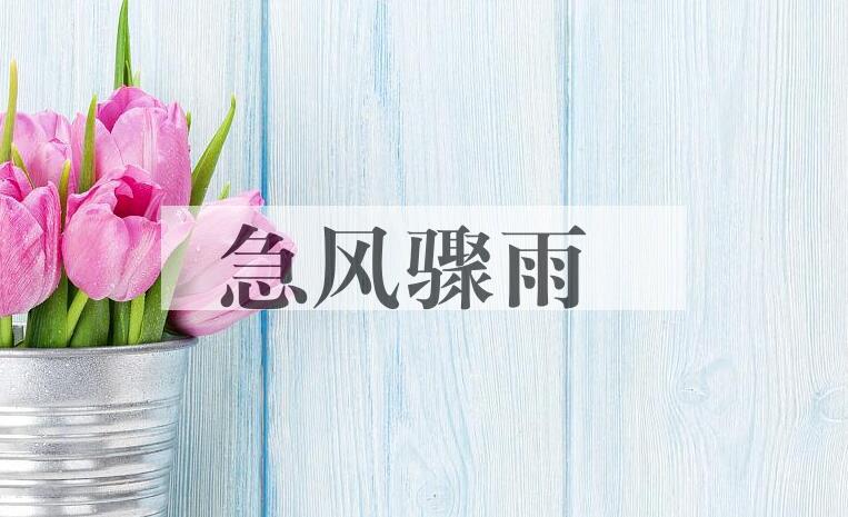 成语急风骤雨是什么意思？