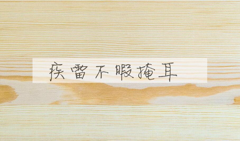 成语疾雷不暇掩耳是什么意思？