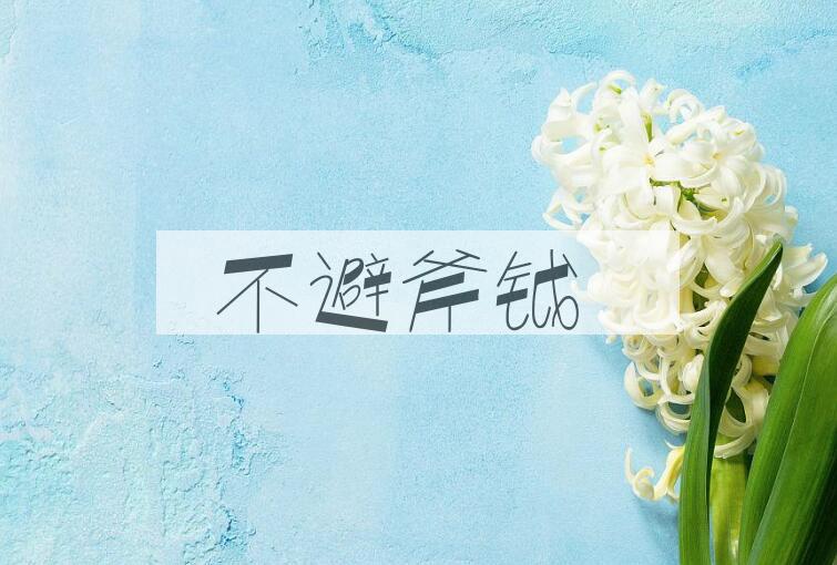 成语不避斧钺是什么意思？