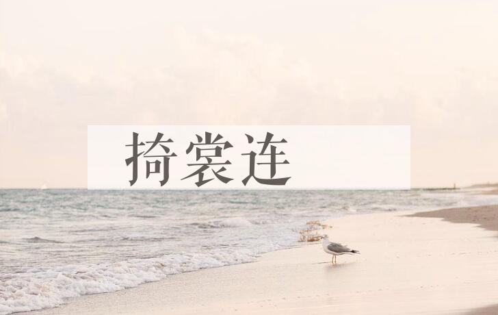 成语掎裳连襼是什么意思？