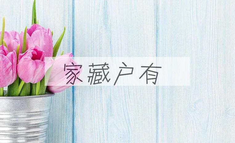 成语家藏户有是什么意思？