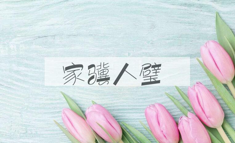 成语家骥人璧是什么意思？