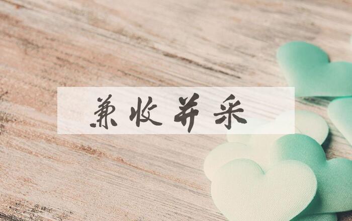 成语兼收并采是什么意思？