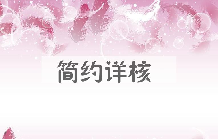 成语简约详核是什么意思？