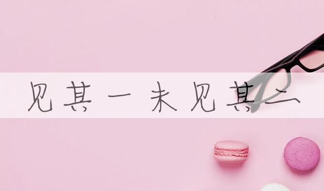 成语见其一未见其二是什么意思？