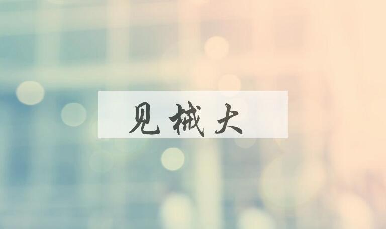 成语见械大是什么意思？