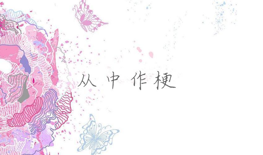 成语从中作梗是什么意思？