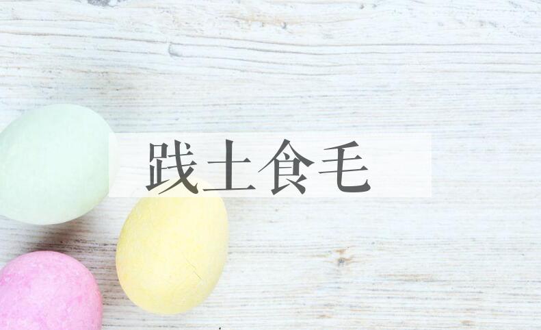 成语践土食毛是什么意思？