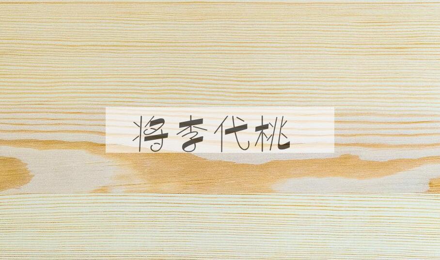 成语将李代桃是什么意思？