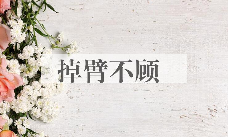 成语掉臂不顾是什么意思？