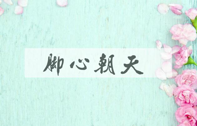 成语脚心朝天是什么意思？