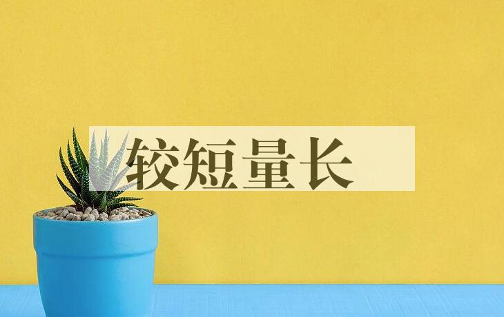 成语较短量长是什么意思？