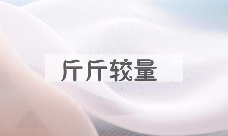 成语斤斤较量是什么意思？