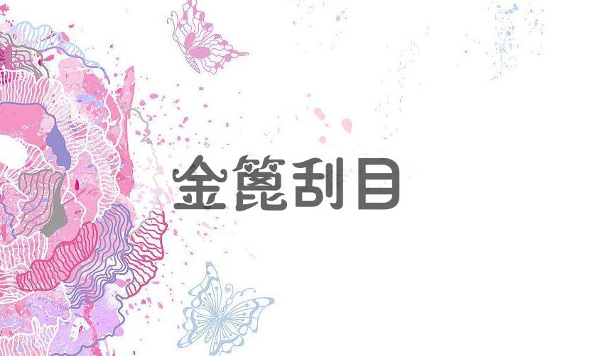 成语金篦刮目是什么意思？