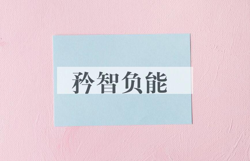 成语矜智负能是什么意思？