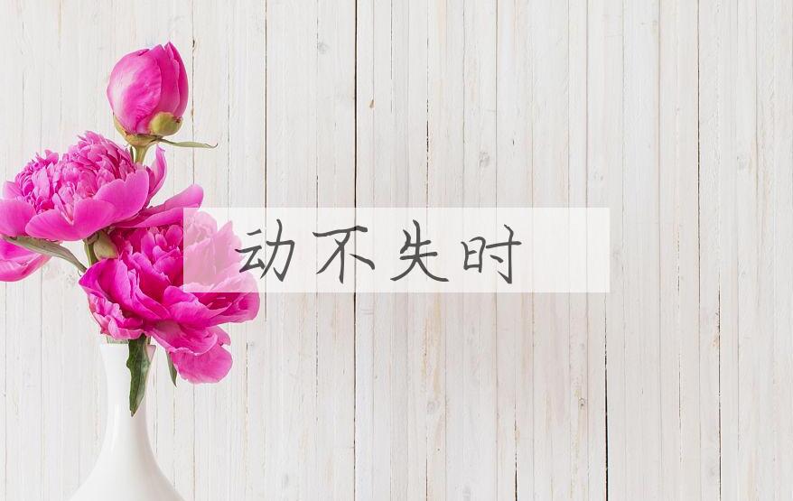 成语动不失时是什么意思？