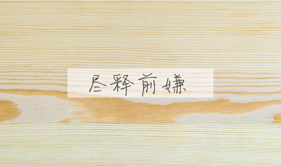 成语尽释前嫌是什么意思？