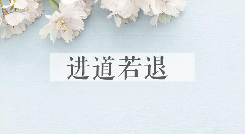 成语进道若退是什么意思？