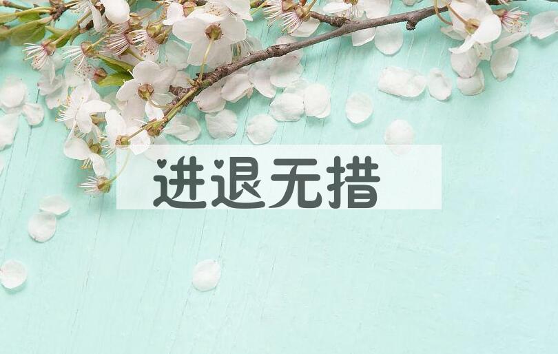 成语进退无措是什么意思？
