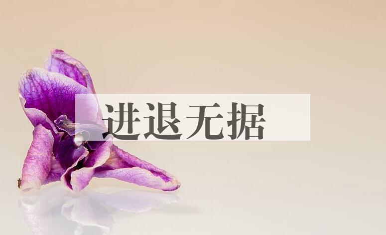 成语进退无据是什么意思？