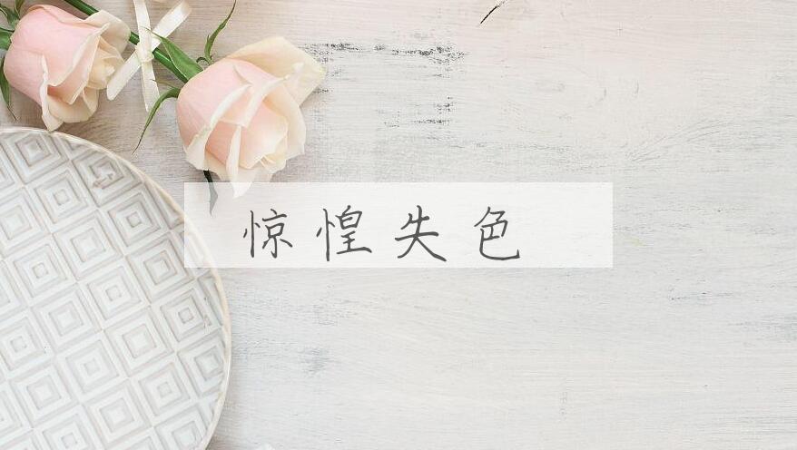 成语惊惶失色是什么意思？