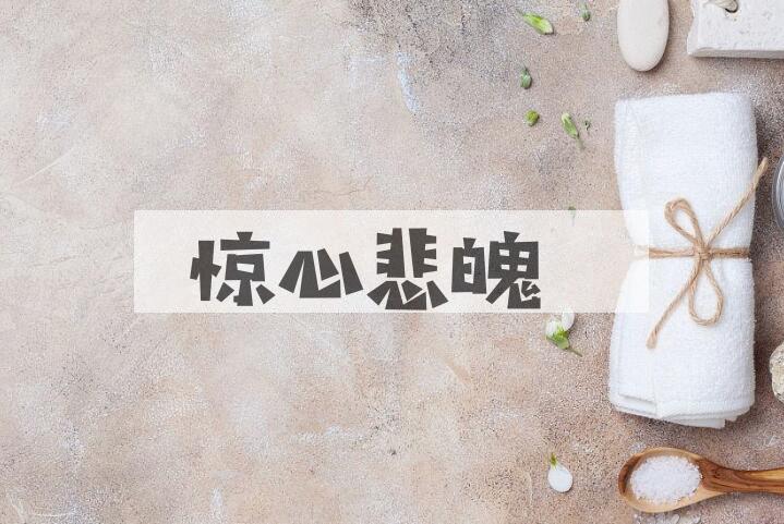 成语惊心悲魄是什么意思？