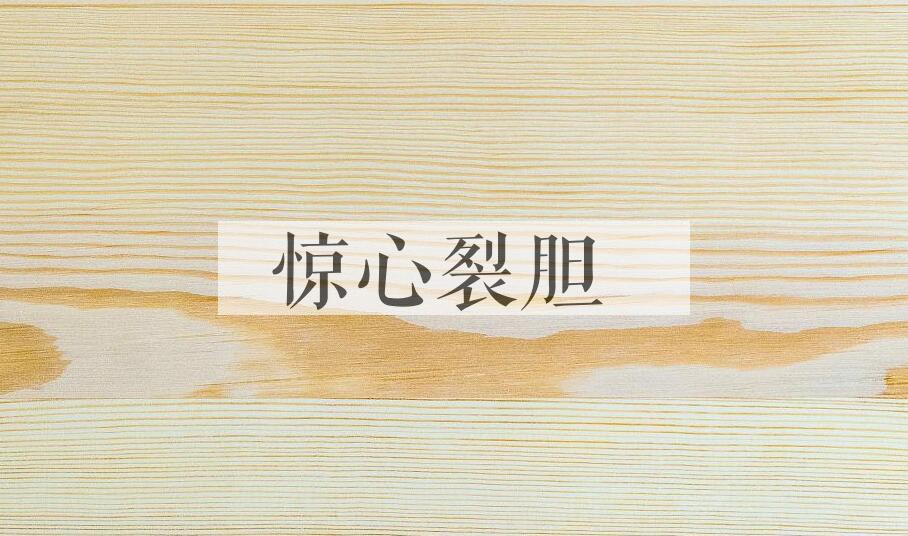 成语惊心裂胆是什么意思？
