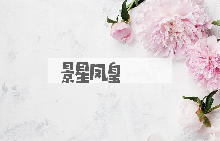 成语景星凤皇是什么意思？
