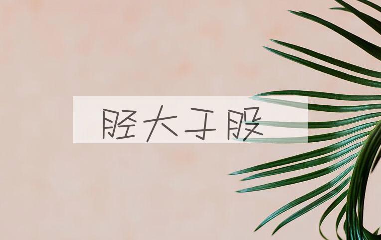 成语胫大于股是什么意思？