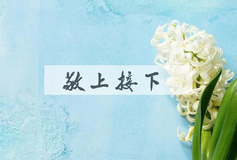 成语敬上接下是什么意思？